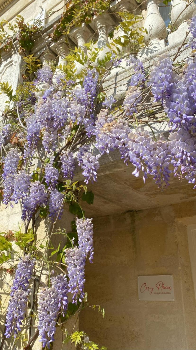 Le Clos Des Queyries, Chambres D'Hotes บอร์โด ภายนอก รูปภาพ